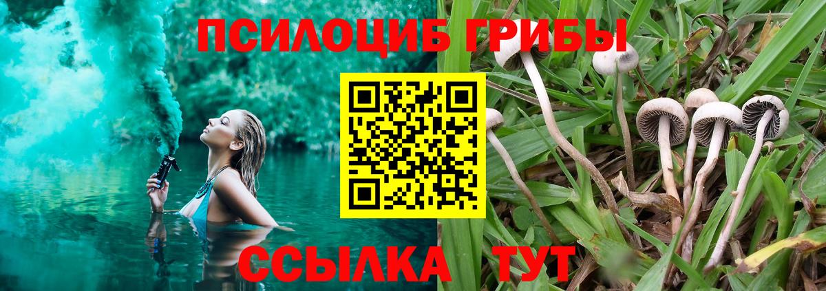 Октябрьский  как найти закладки  Вход с VPN  Галлюциногенные грибы мухоморы  Галлюциногенные грибы мицелий 