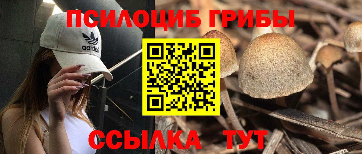 LSD-25  Кокаин  А ПВП СК   Вход с VPN  Марихуана  МЕФ   Октябрьский  Гашиш  МДМА  МЕТАМФЕТАМИН 